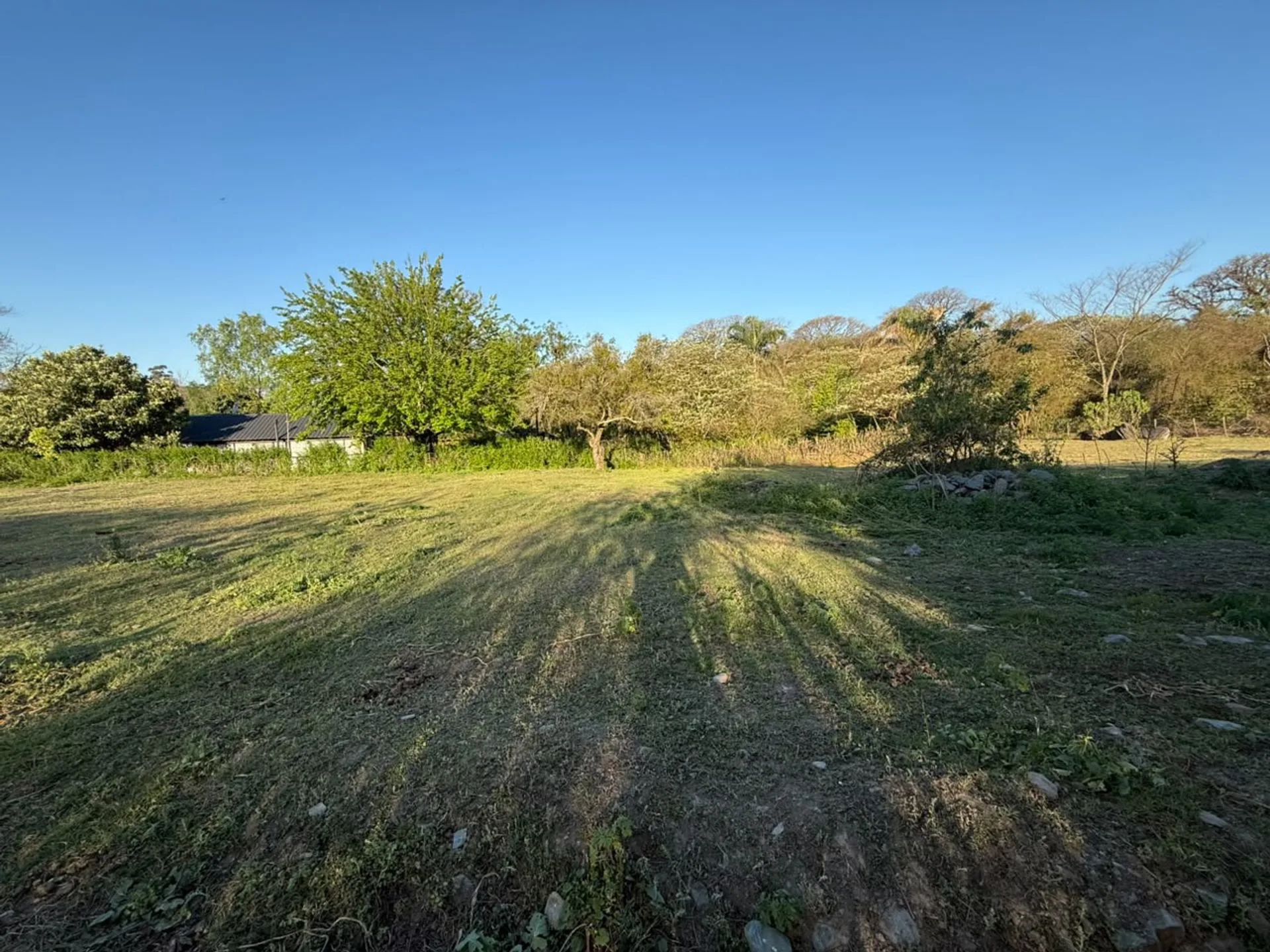 VENTA TERRENO DE 2.500M2 EN SAUCE YACU, RACO foto 3