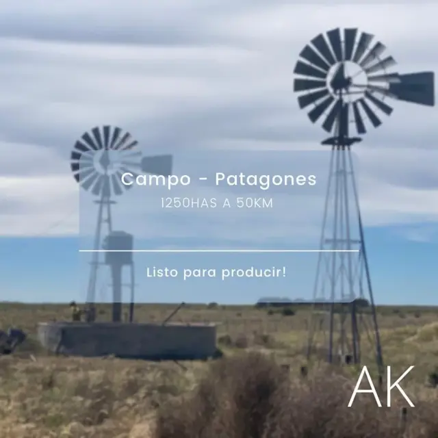 SE VENDE CAMPO 1250has - PATAGONES