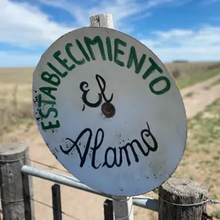 SE VENDE CAMPO 1250has - PATAGONES foto 2