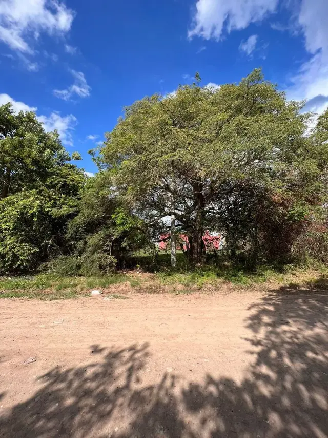 VENTA TERRENO RESIDENCIAL SOLARES DEL ESTE