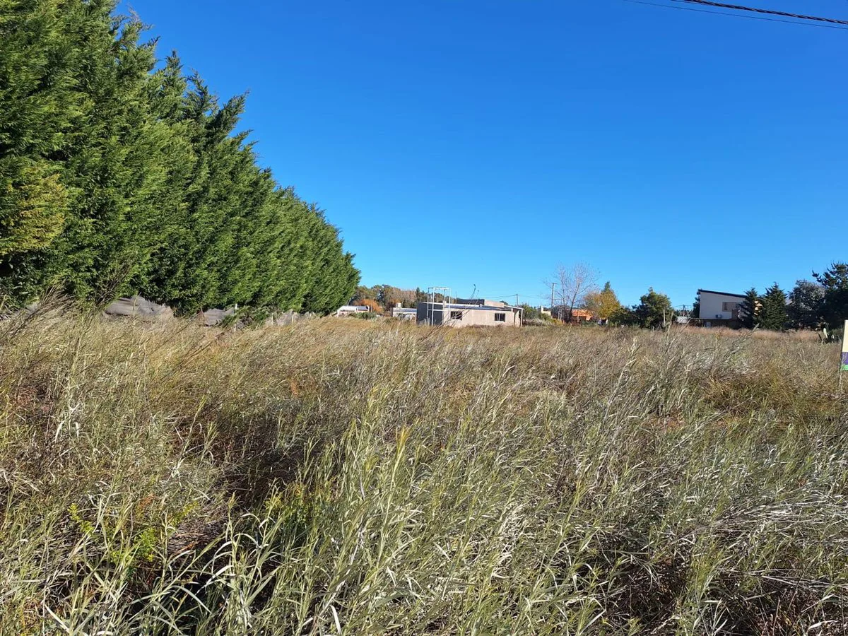 VENTA DE LOTE EN EL INGRESO A PEHUEN CO foto 2