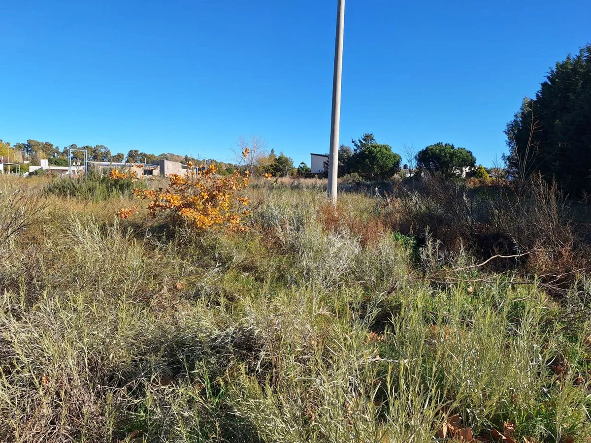 VENTA DE LOTE EN EL INGRESO A PEHUEN CO foto 3