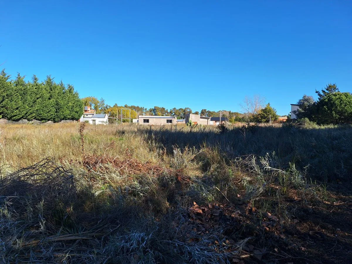 VENTA DE LOTE EN EL INGRESO A PEHUEN CO foto 4