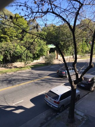 2 AMBIENTES IMPECABLES EN CONSTITUYENTES 3200 (AGRONOMIA) foto 1