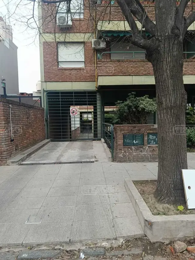 Diego palma