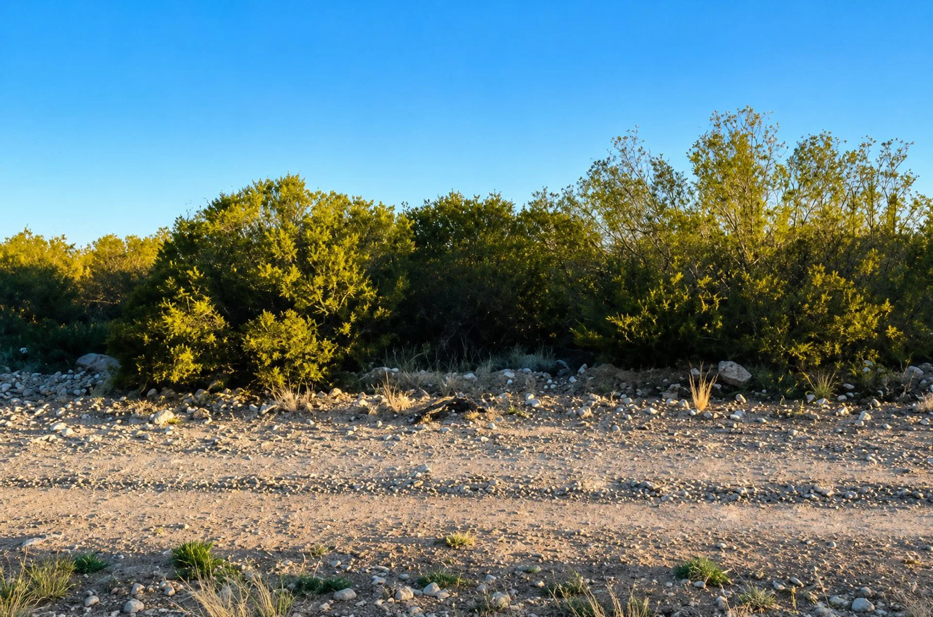 Venta de Terreno en el Pedemonte Lujan de Cuyo foto 3