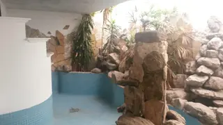 Terreno foto 1