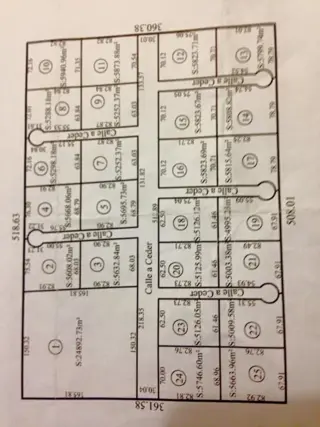 LOTES DE TERRENOS EN VENTA DE 5000 M2 - CHACRAS DEL 28 - BARADERO - ALSINA - BS AS foto 5