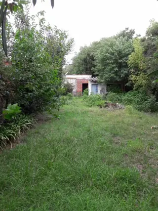 OPORTUNIDAD LOTE 300 MTS2 foto 1
