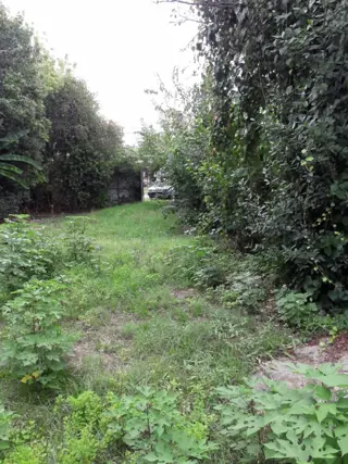 OPORTUNIDAD LOTE 300 MTS2 foto 4