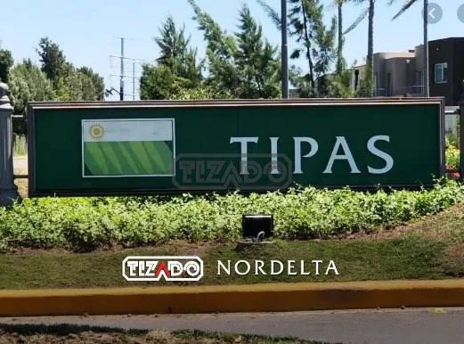 Tipas 100 foto 2