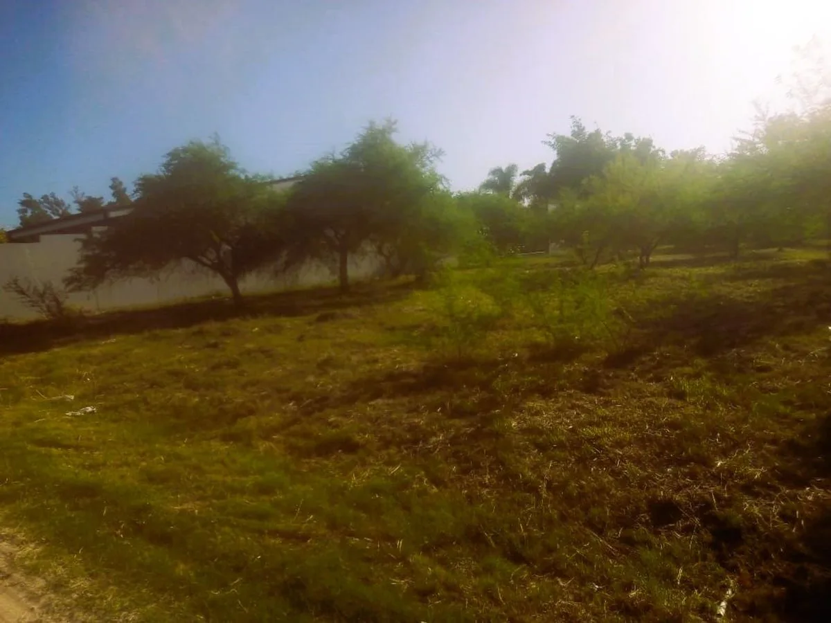 Terreno en venta - Villa California, Rincon foto 2