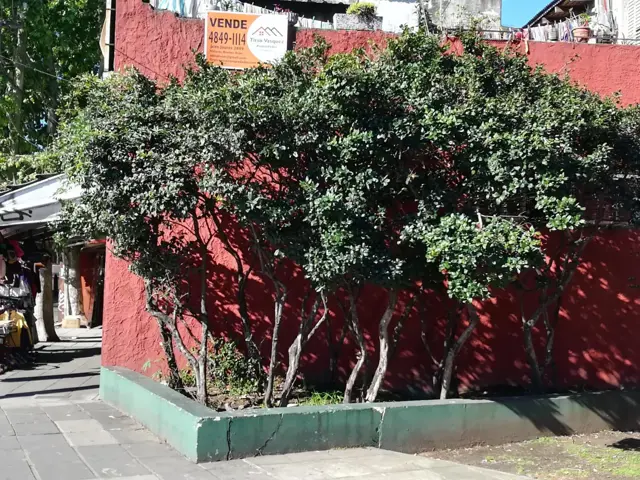 PH 3 AMB Y LOCAL COMERCIAL.