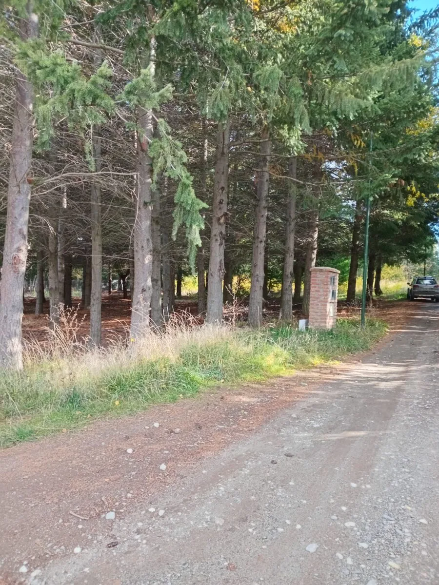 LOTES EN VENTA EN GOLONDRINAS foto 5