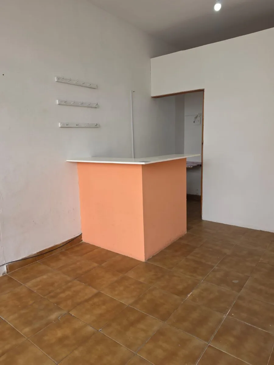 ALQUILER LOCAL COMERCIAL VILLA LUZURIAGA foto 4