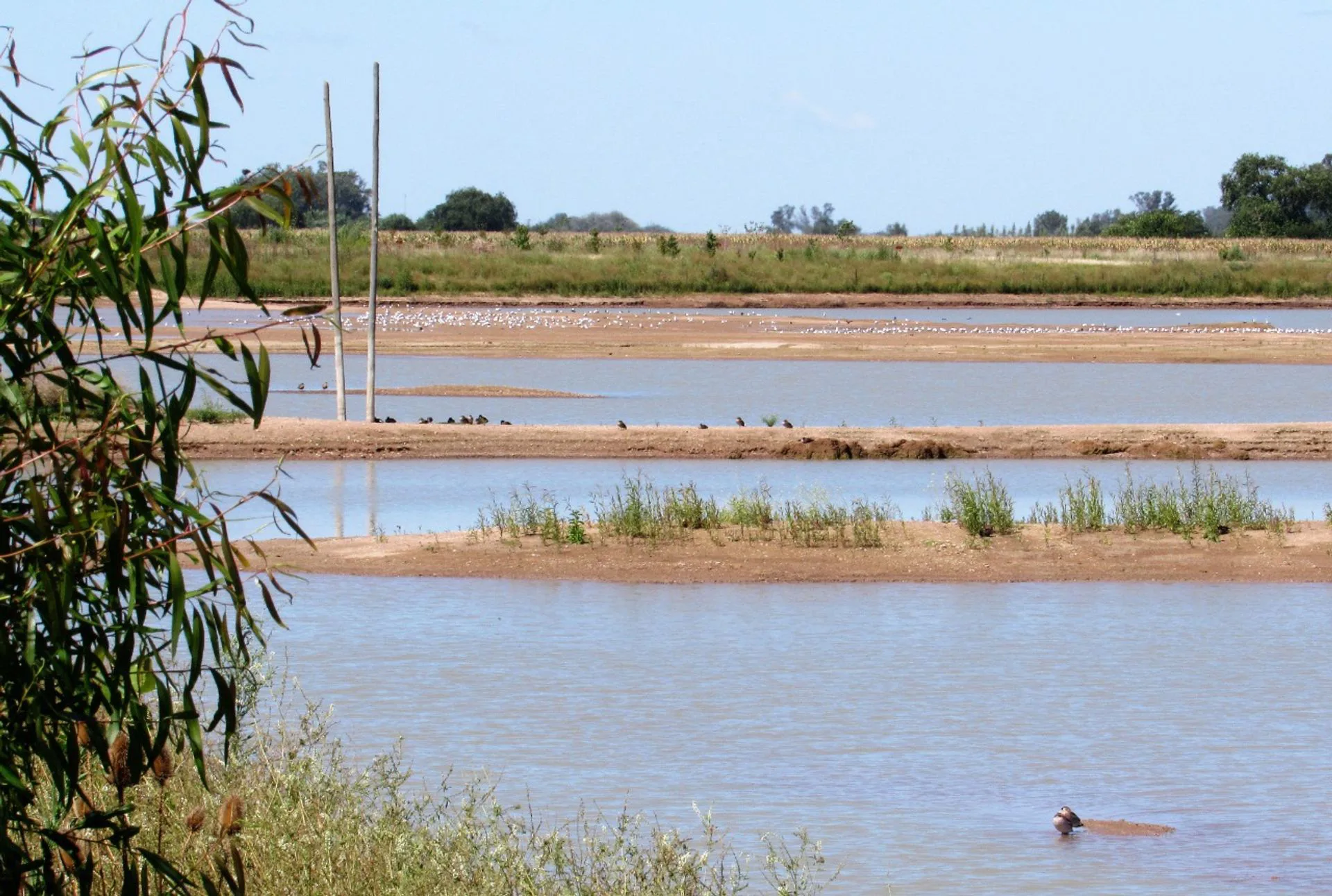 VENTA LOTE LAGUNA DE LAS PAMPAS SAN ANDRES DEGILES foto 2