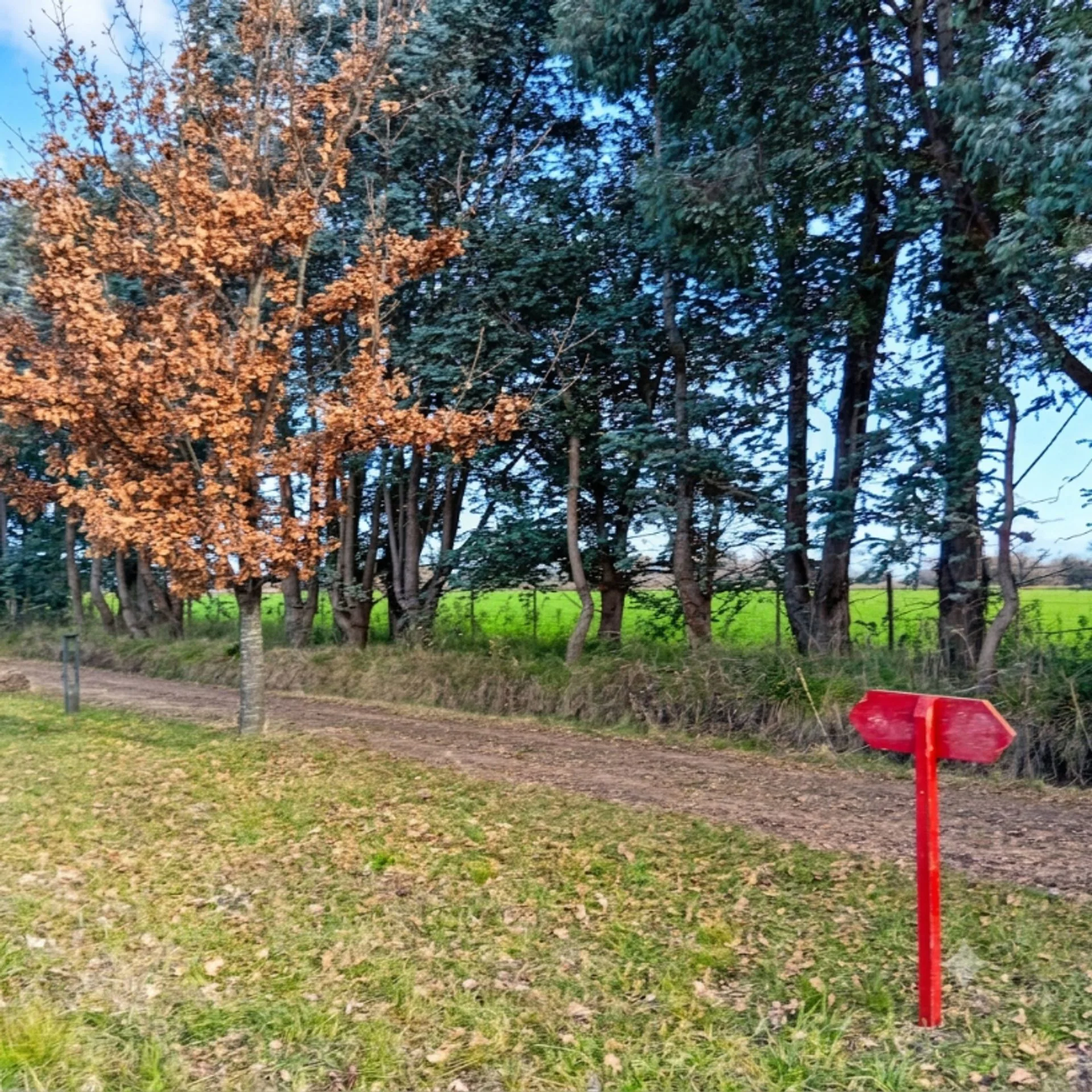 VENTA LOTE LAGUNA DE LAS PAMPAS SAN ANDRES DEGILES foto 5