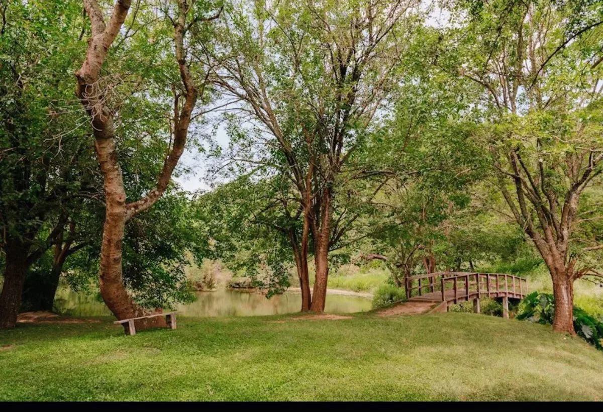 SE VENDEN LOTES EN PACLÍN. FACILIDADES. PERMUTA foto 4