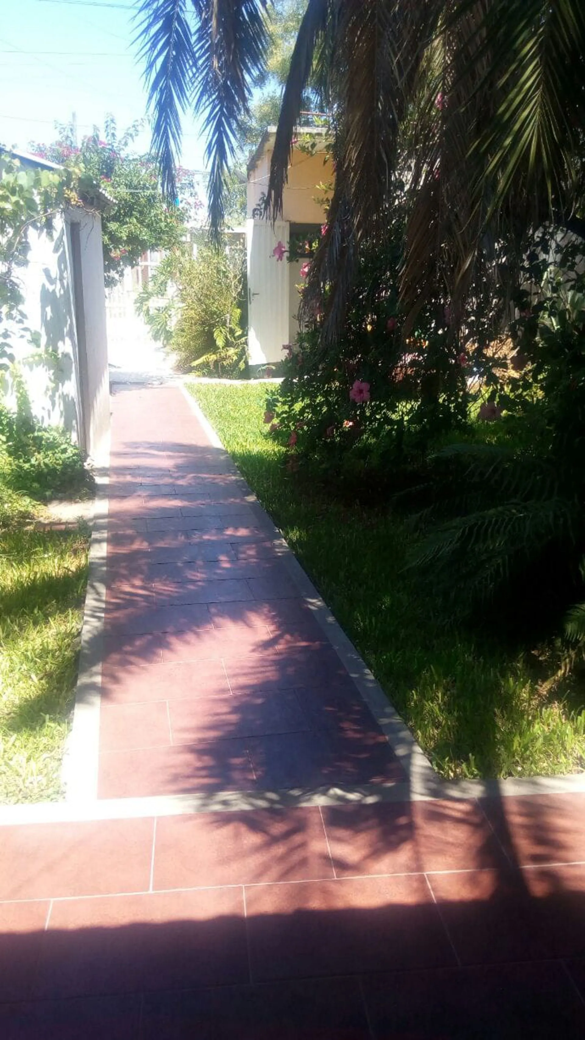 VENTA DE CASA FAMILIAR CON LOCAL EN VENTA foto 3