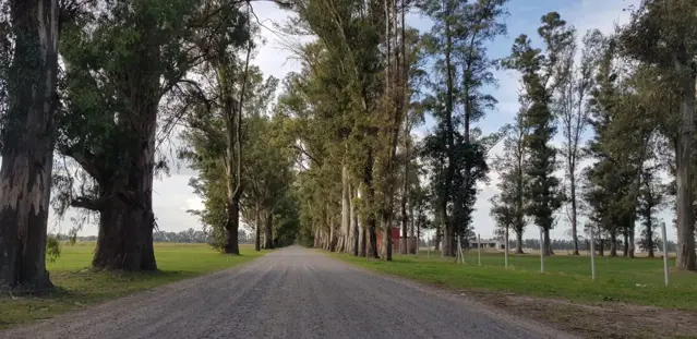 Venta Lote - 1600 m. BARRIO GOLF - TRES PINOS