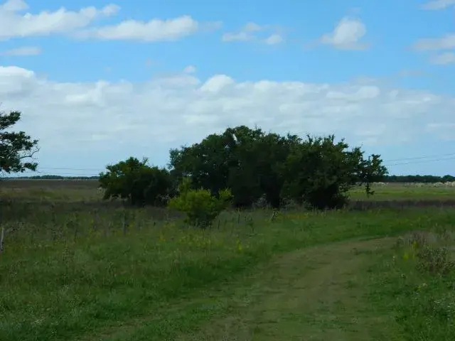 Hermoso Campo en Venta de 65 hectareas. EL VALOR ES POR CADA HECTAREA