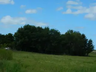 Hermoso Campo en Venta de 65 hectareas. EL VALOR ES POR CADA HECTAREA foto 2
