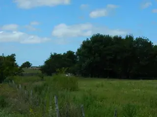 Hermoso Campo en Venta de 65 hectareas. EL VALOR ES POR CADA HECTAREA foto 4