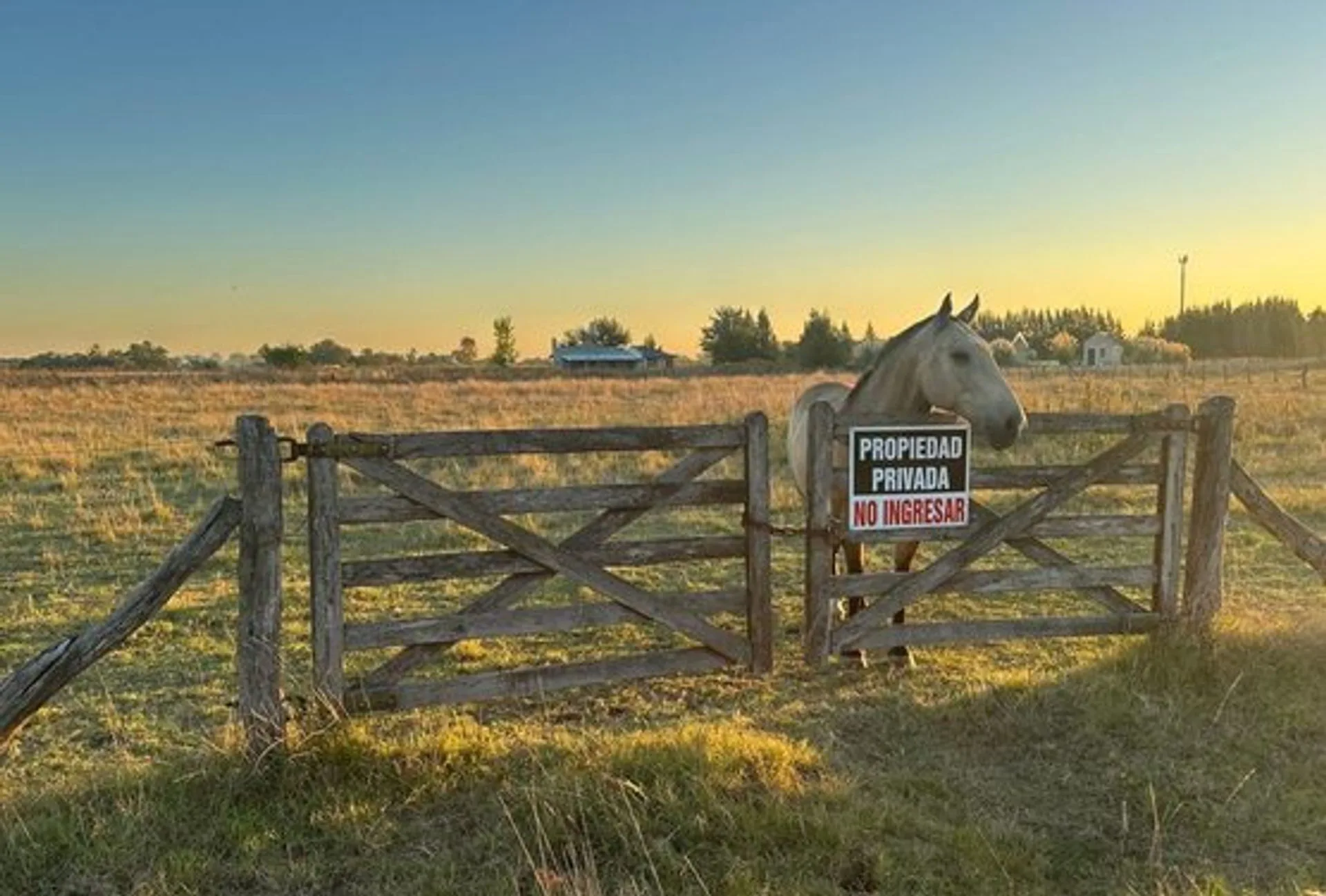 LOTE EN VENTA SAN VICENTE 5.300MTS foto 3