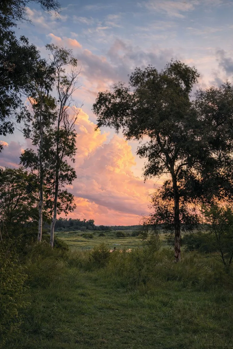 Venta de Lote 22 Estrella Federal, Ramallo