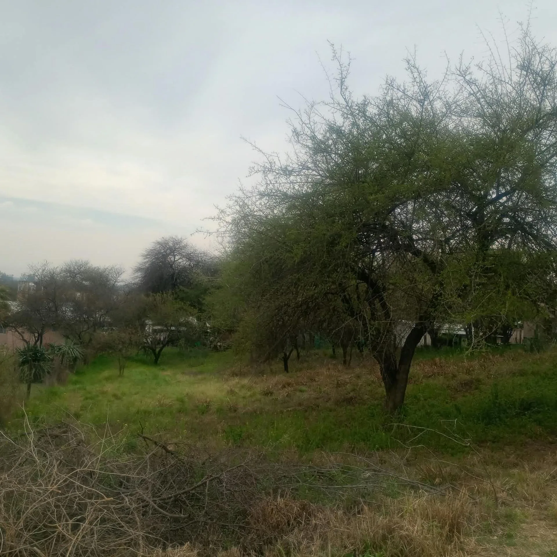 LOTE EN VILLA LOS AROMOS 844  m2 foto 5