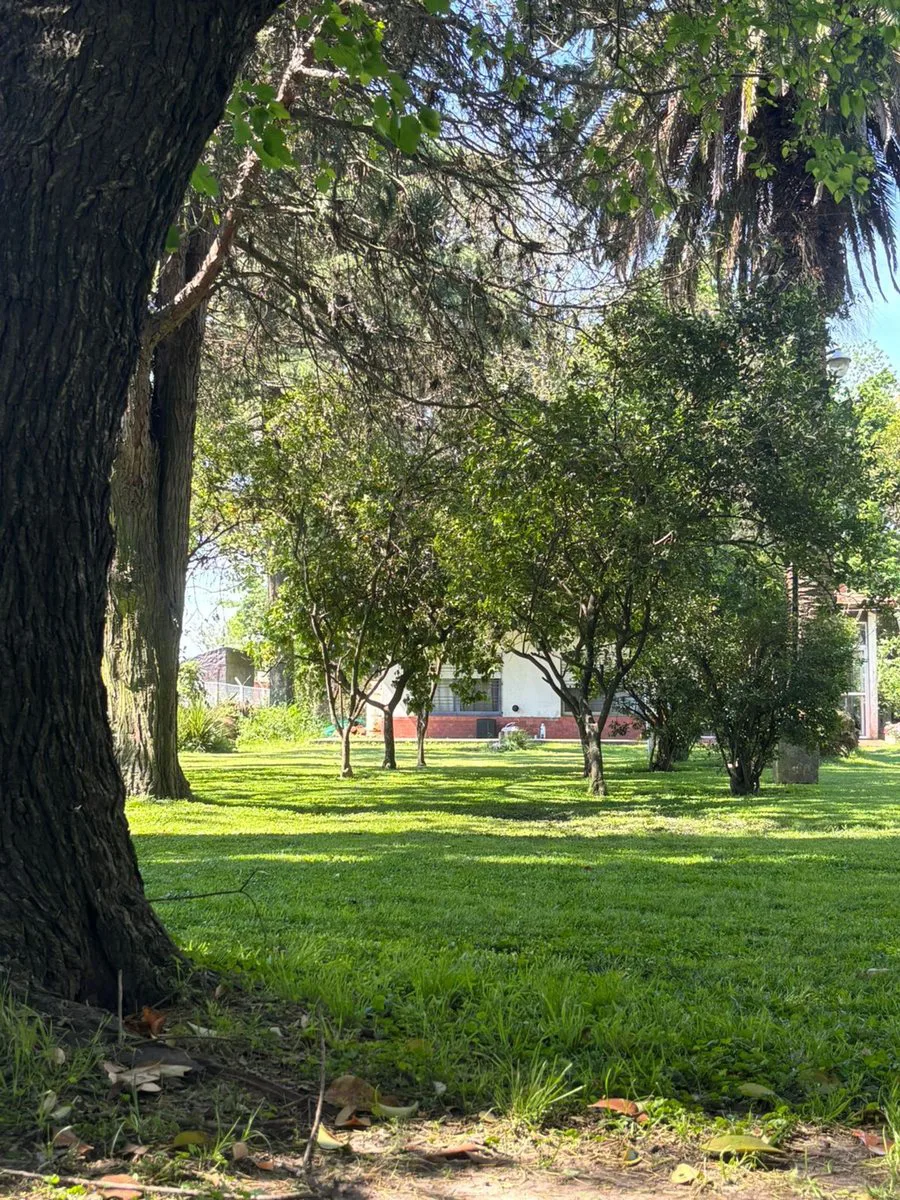 Casa Quinta+Casa Huéspedes- Pileta- Quincho foto 4