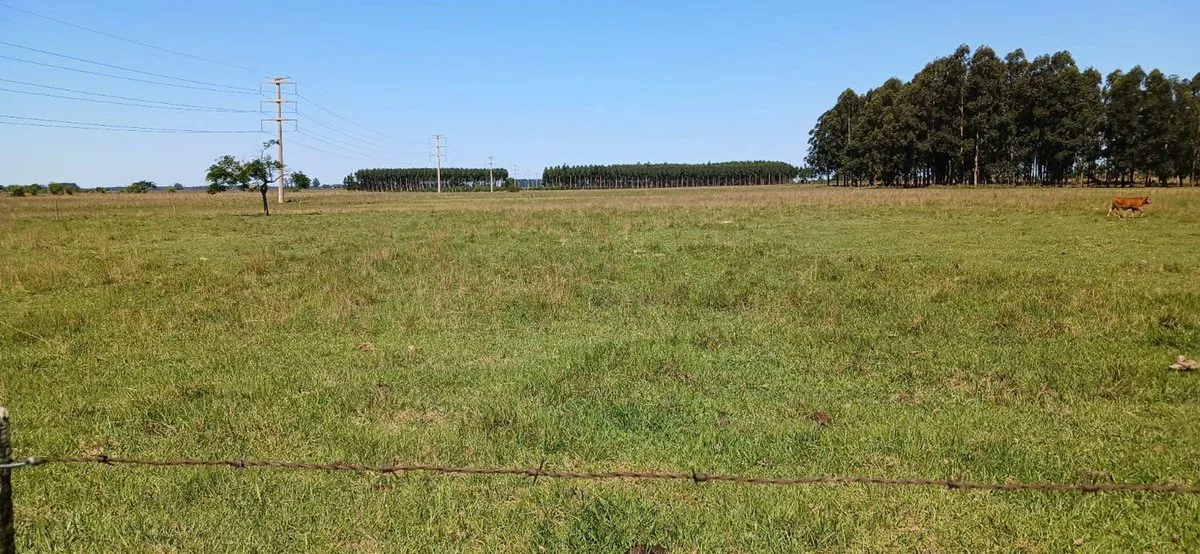 LOTE EN VENTA - COLONIA PORVENIR