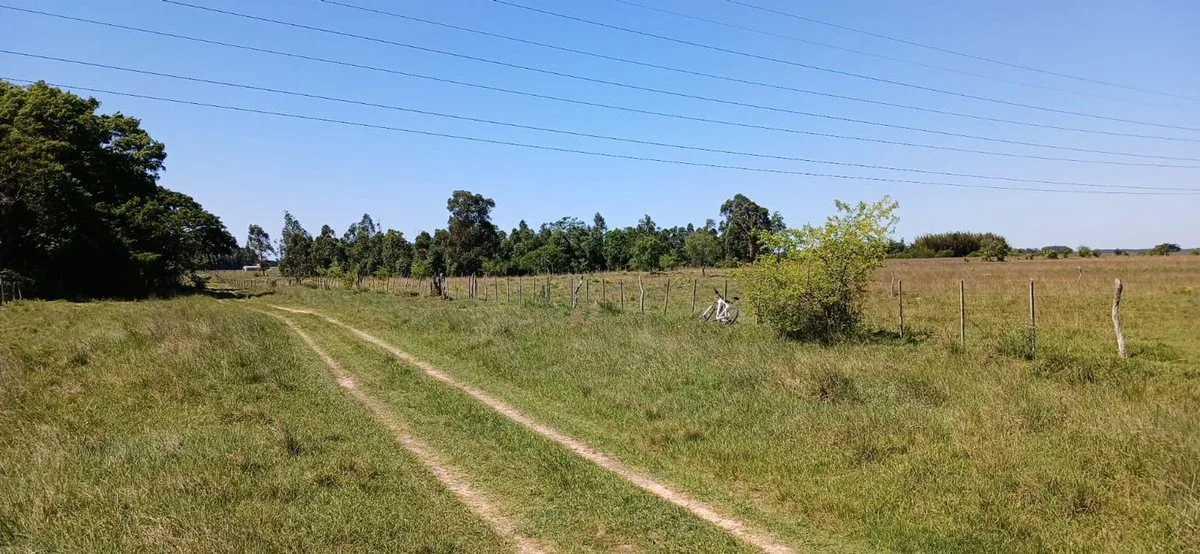LOTE EN VENTA - COLONIA PORVENIR foto 2