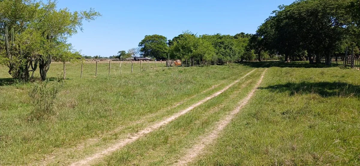 LOTE EN VENTA - COLONIA PORVENIR foto 3