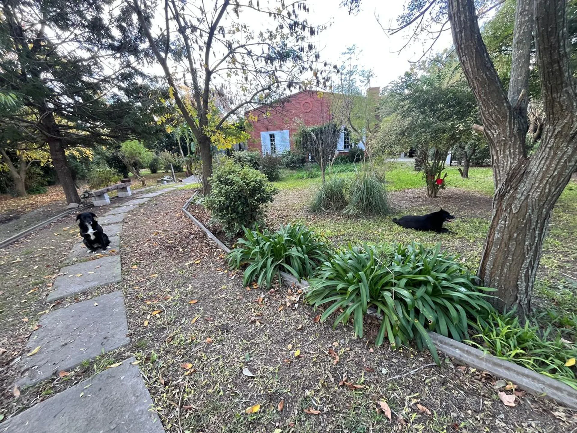 Venta Quinta en Lote 4234m2 Altos Los Cardales R 4 foto 5