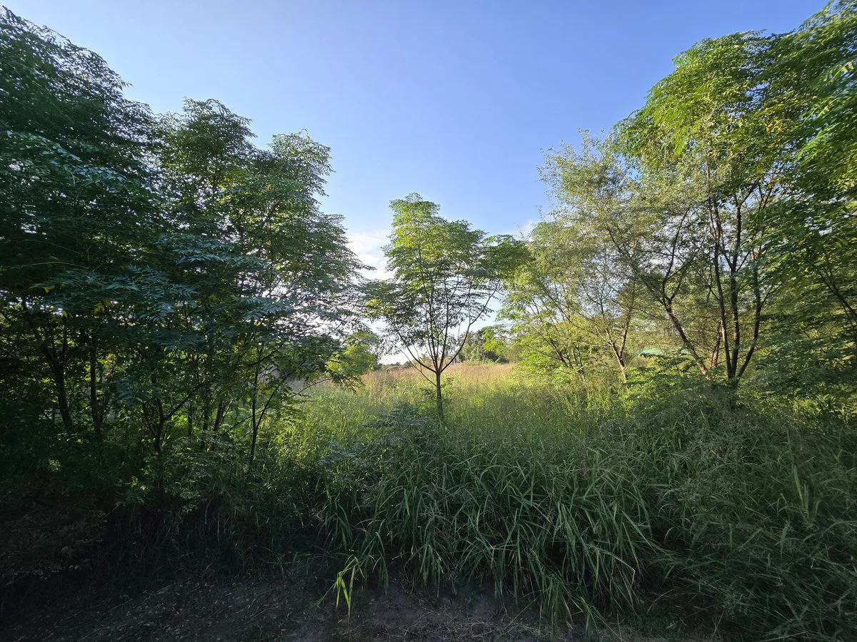 LOTE DE 860 M² EN BARRIO NUEVO SAN CARLOS LA BANDA foto 4