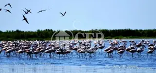 550 HECTÁREAS RUTA MAR CHIQUITA foto 1