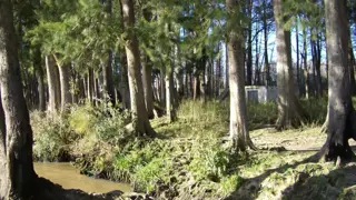 60 Has . - PUERTO DE ESCOBAR - PARANA DE LAS PALMAS foto 3