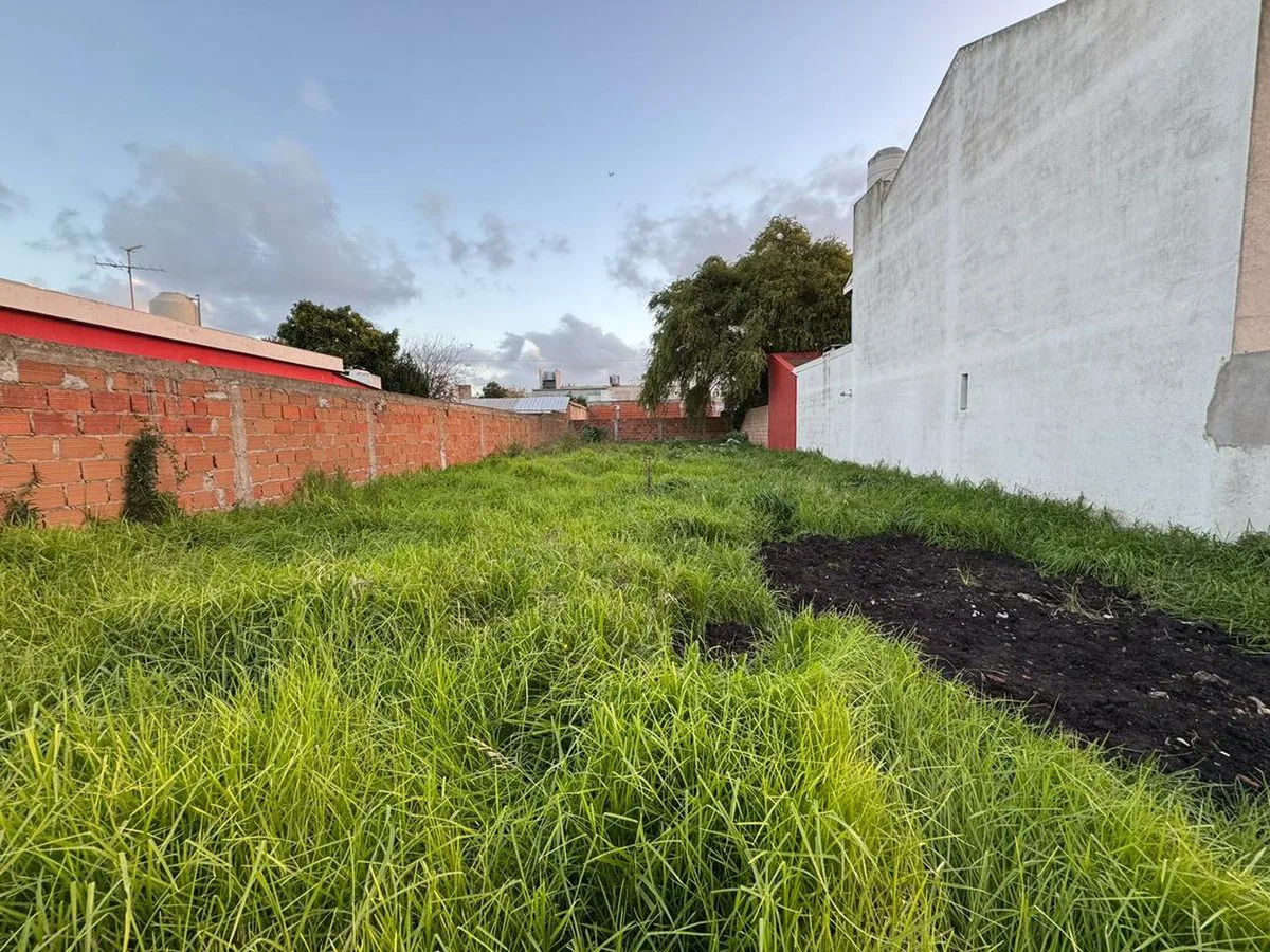 VENTA Lote Punta Mogotes foto 5
