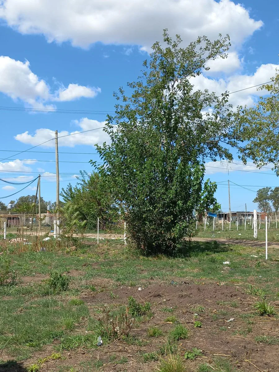 LOTE EN VENTA MARIANO ACOSTA USD 8.000 foto 2