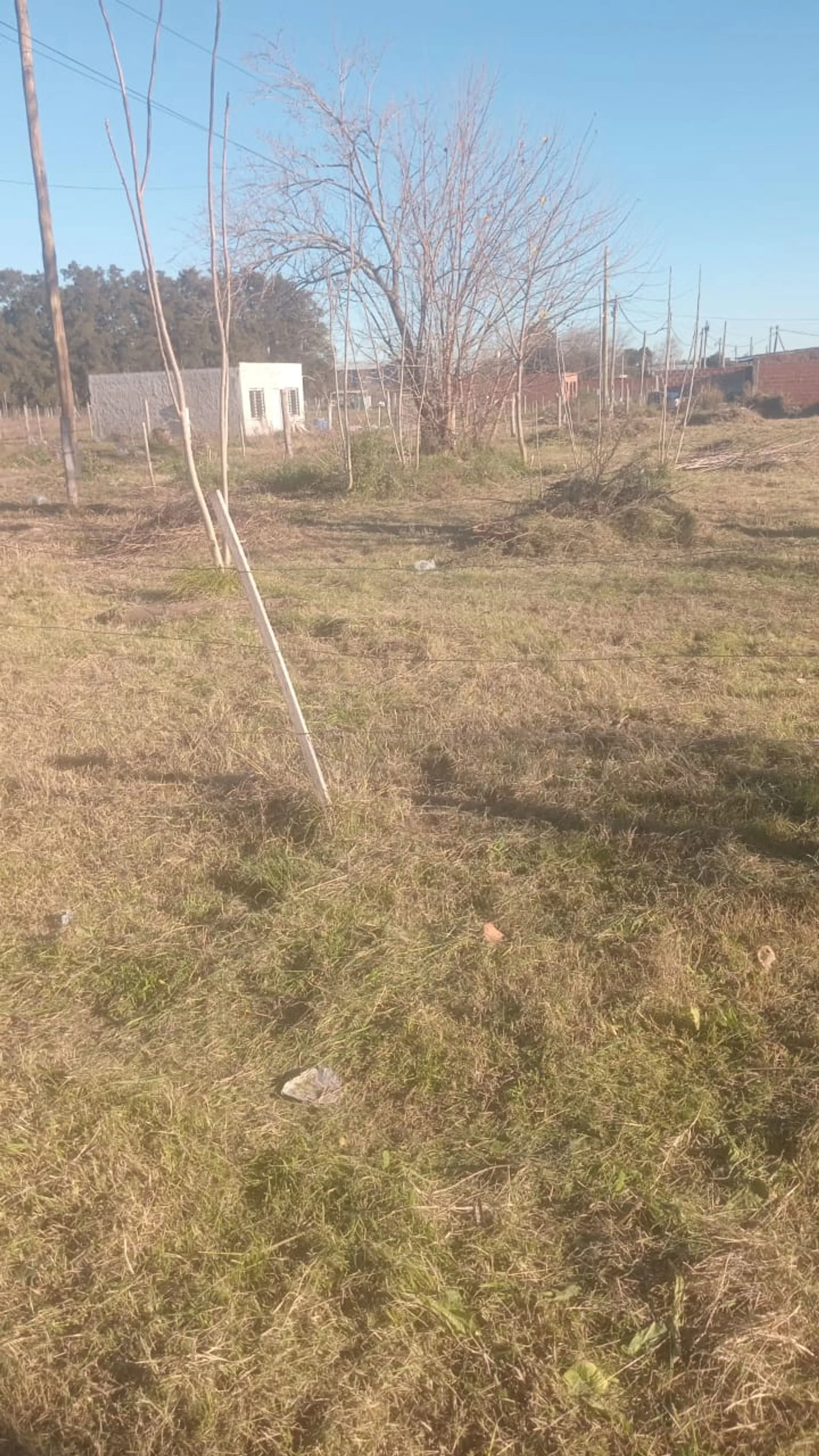LOTE EN VENTA MARIANO ACOSTA USD 8.000 foto 5