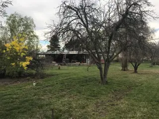 SE VENDE HERMOSA CHACRA DE 21,5HAS. EXCELENTE OPORTUNIDAD foto 3