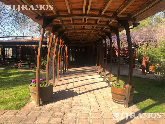 Casa rural con alma de finca. a 4 km de la capital. Mendoza. Rivadavia. terreno 8000 m2 foto 4