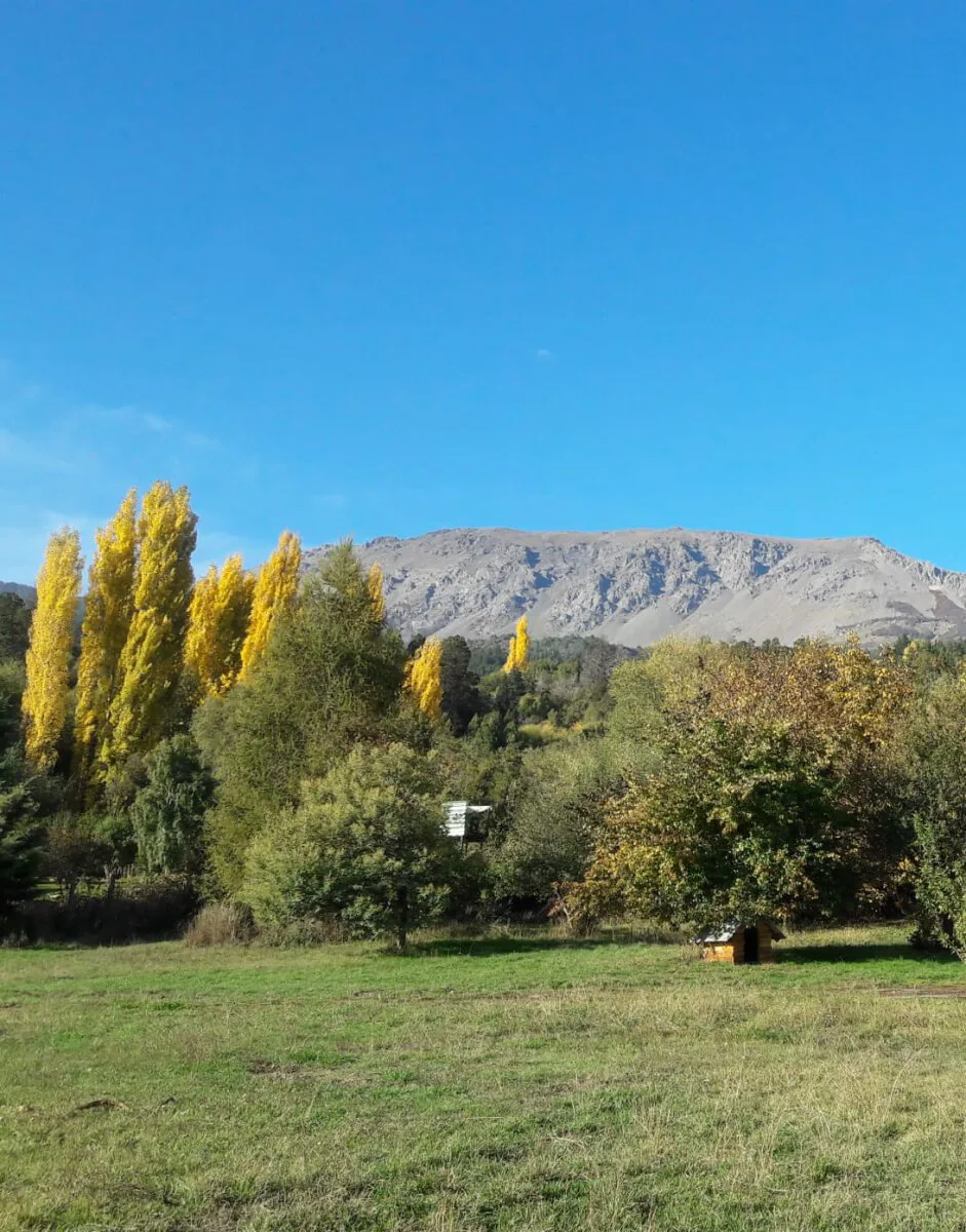 (089) El Bolsón Terreno de 900 mt² barrio Villa Turismo foto 2