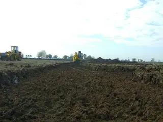 CAMPOS DE VICTORIA CANNING! ULTIMOS LOTES. foto 5