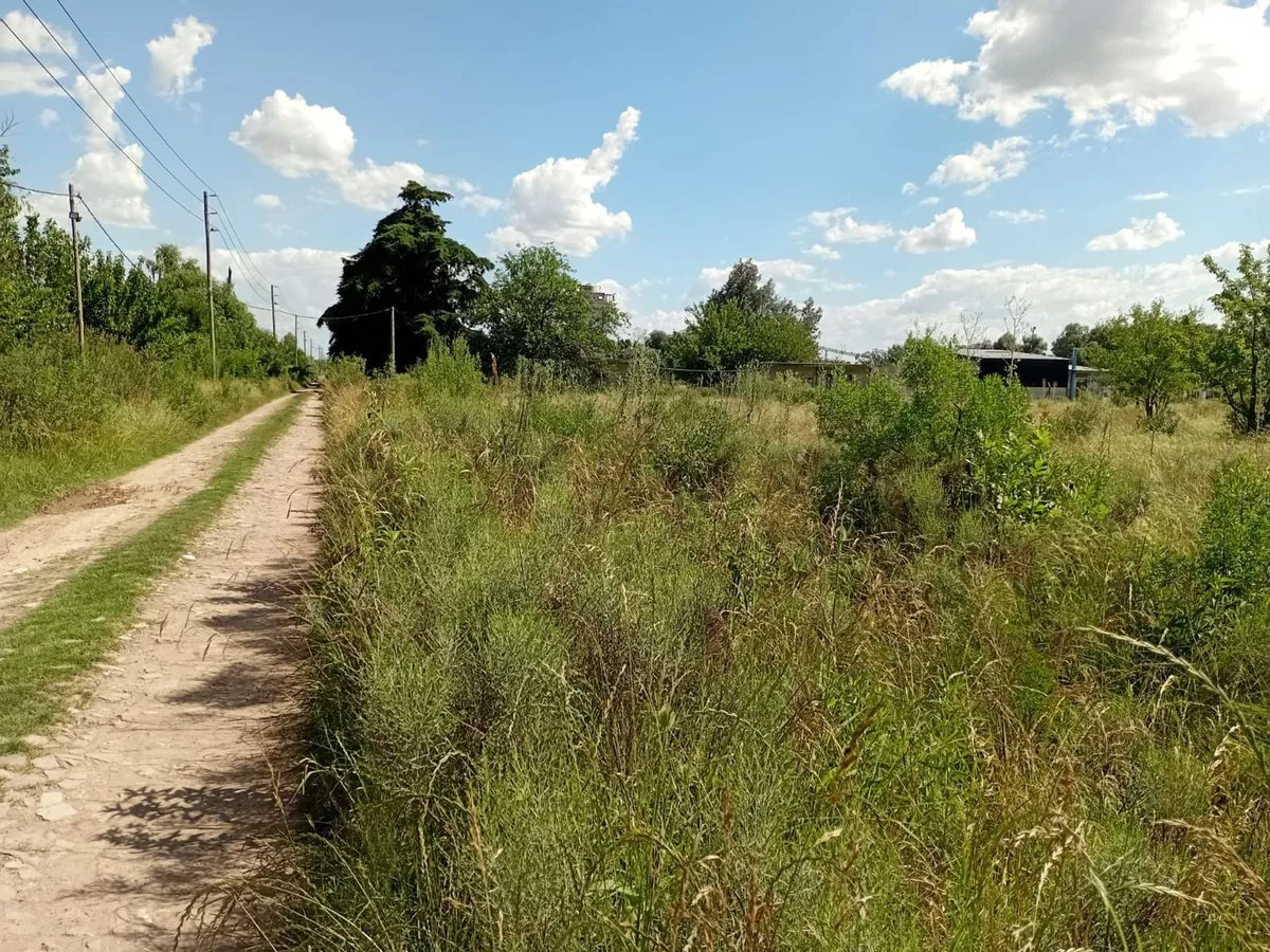 VENTA LOTE 5.000M2 EN GRAL. RODRIGUEZ RUTA 24 foto 2