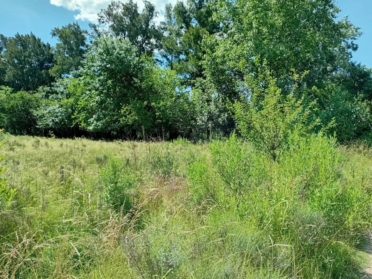 VENTA LOTE 5.000M2 EN GRAL. RODRIGUEZ RUTA 24 foto 3