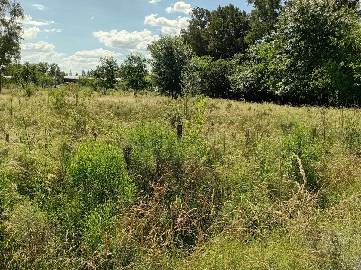 VENTA LOTE 5.000M2 EN GRAL. RODRIGUEZ RUTA 24 foto 5