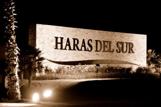 Haras del Sur- Ruta Provincial 2 - Lote: 20