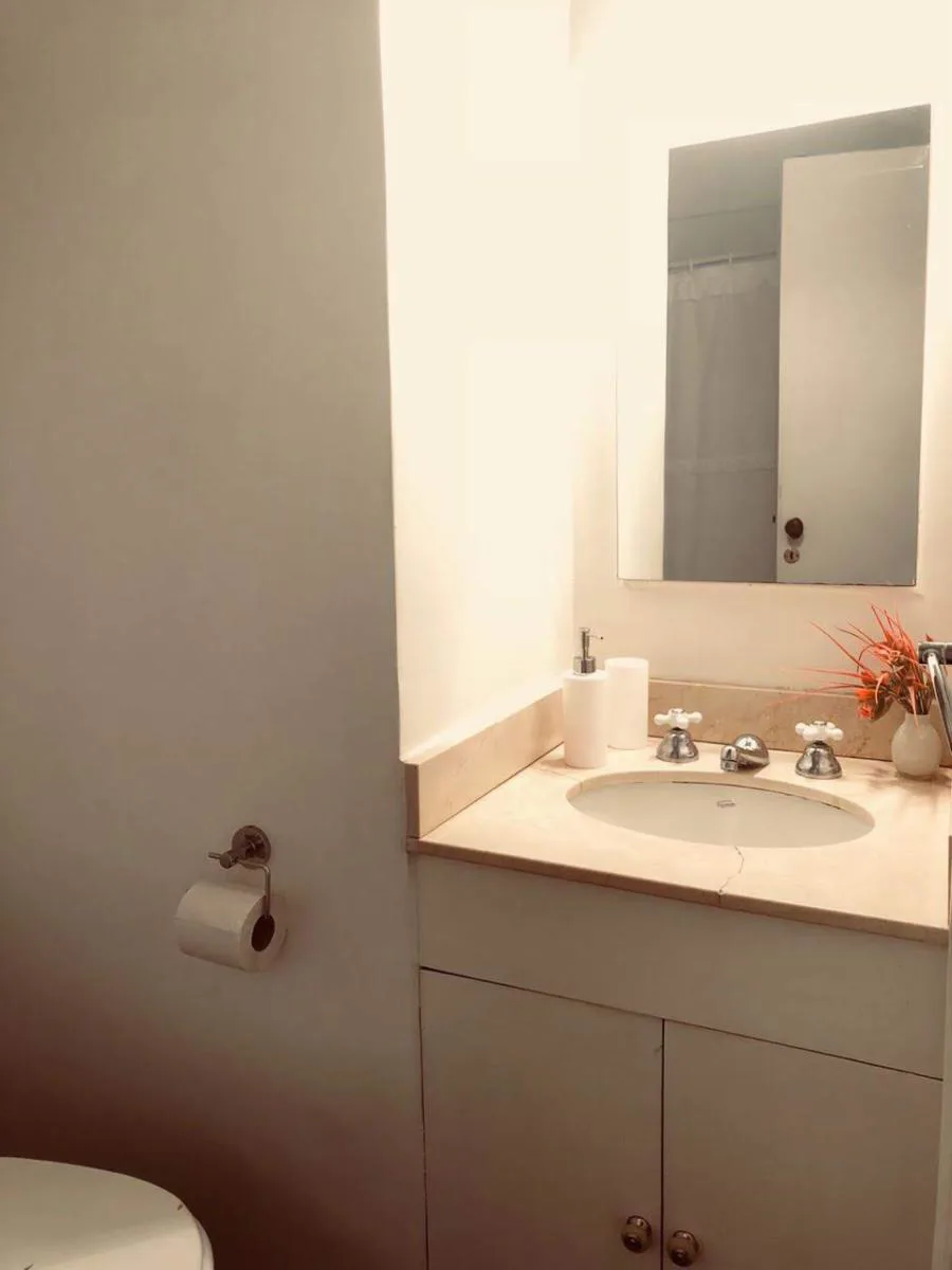 1-bedroom apartment in Recoleta – photo 3 of 13